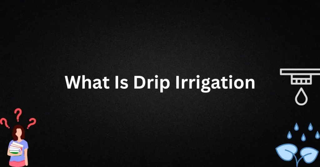 What Is Drip Irrigation