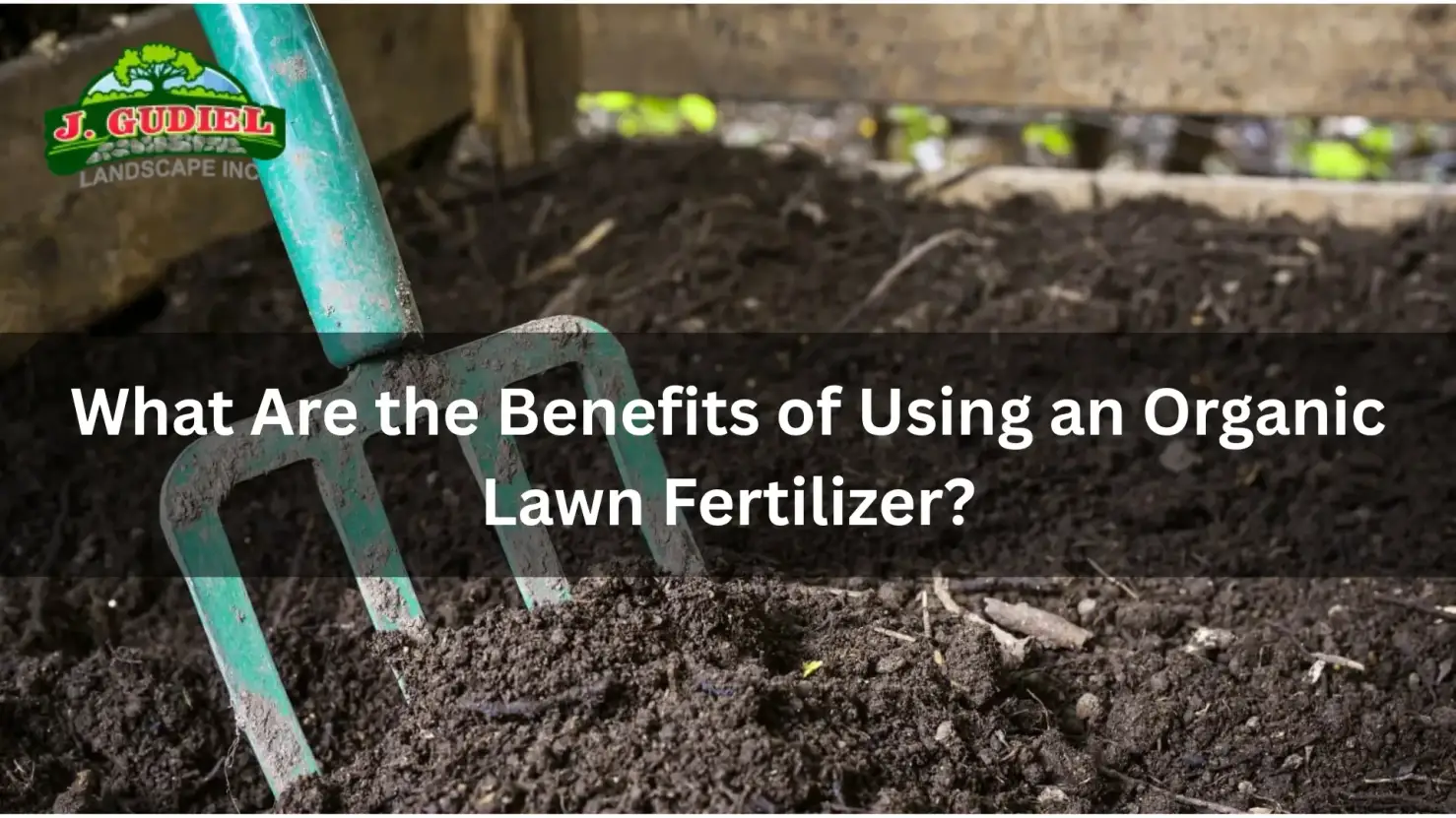 What Are the Benefits of Using an Organic Lawn Fertilizer?