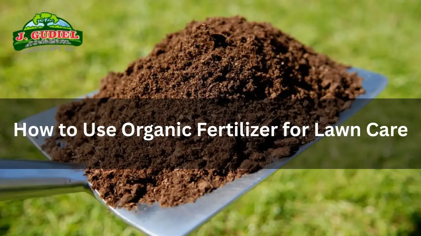 How to Use Organic Fertilizer for Lawn Care