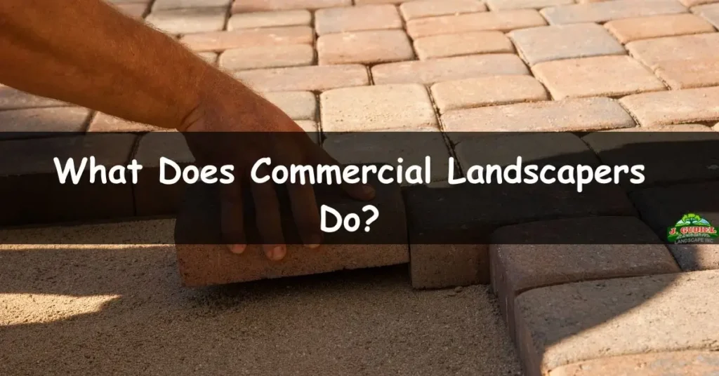 Commercial Landscaping: Comprehensively Explained